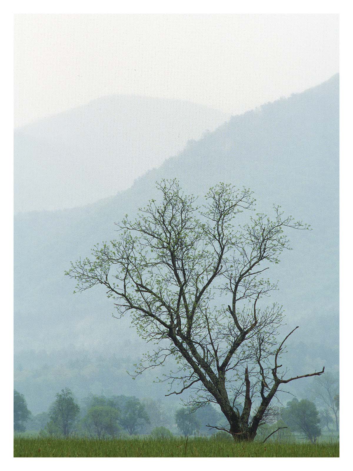 Smoky Mountains NP
